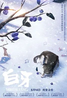 那家伙的脸