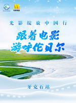 国产精品系列在线观看