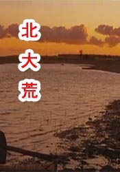 欧美看片