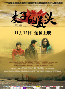 郑爽电影