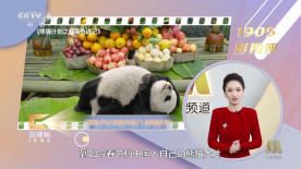 国外网站加速神器